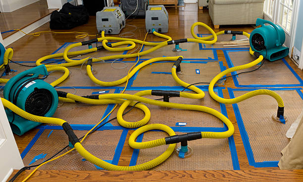 Professional Water Damage Restoration technician working in Scott, LA